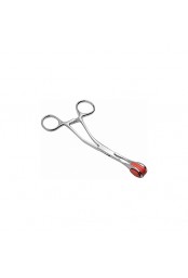ISABELLA SINCLAIRE  FORCEPS ACERO INOXIDABLE